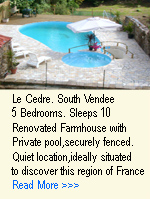 Le Cedre farmhouse gite with five bedrooms and private pool in the south Vendee 