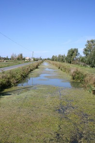 Canal Hollandais