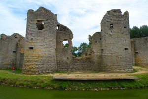 Ruined castle at Commequiers. credit chatsum