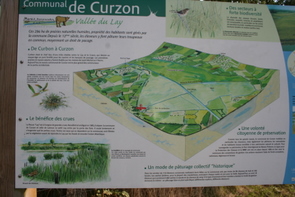 Communal de Curzon
