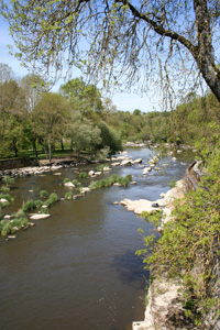 River Sevre Nantaise at Rochard, Vendee